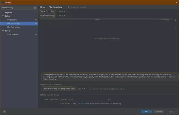 JetBrains Rider特别版使用技巧