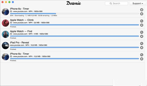 Downie for Windows特别版