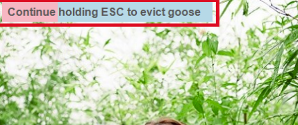 Desktop Goose中文版怎么卸载