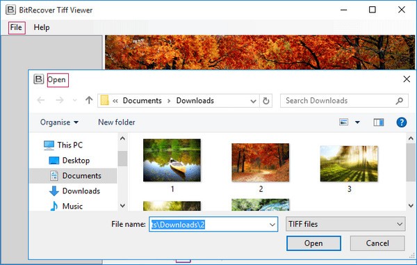 BitRecover Tiff Viewer官方版