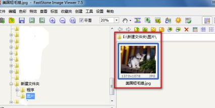 FSViewer中文版怎么使用