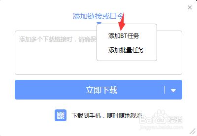 迅雷不限速吾爱特别版2021