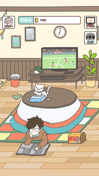 猫咪饲养日常截图