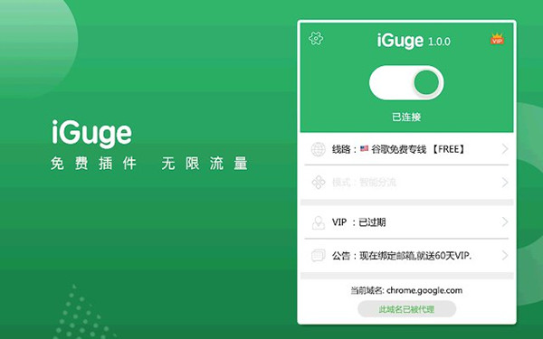 igg谷歌访问助手特别版