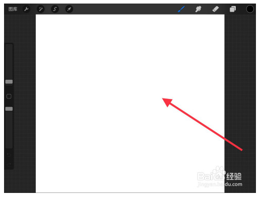 procreate特别版