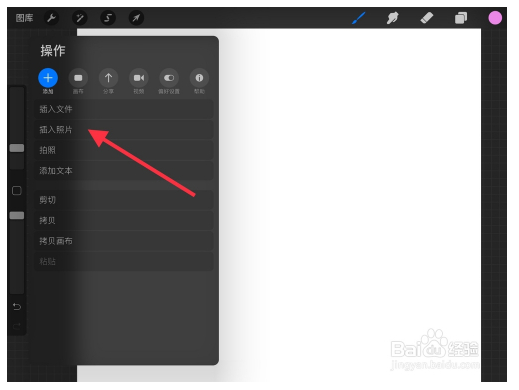 procreate特别版