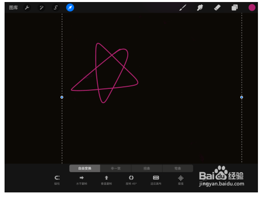 procreate特别版
