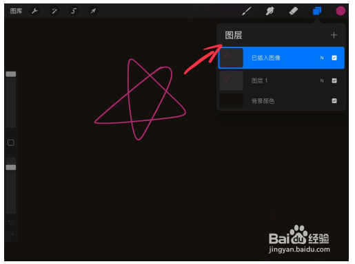 procreate特别版