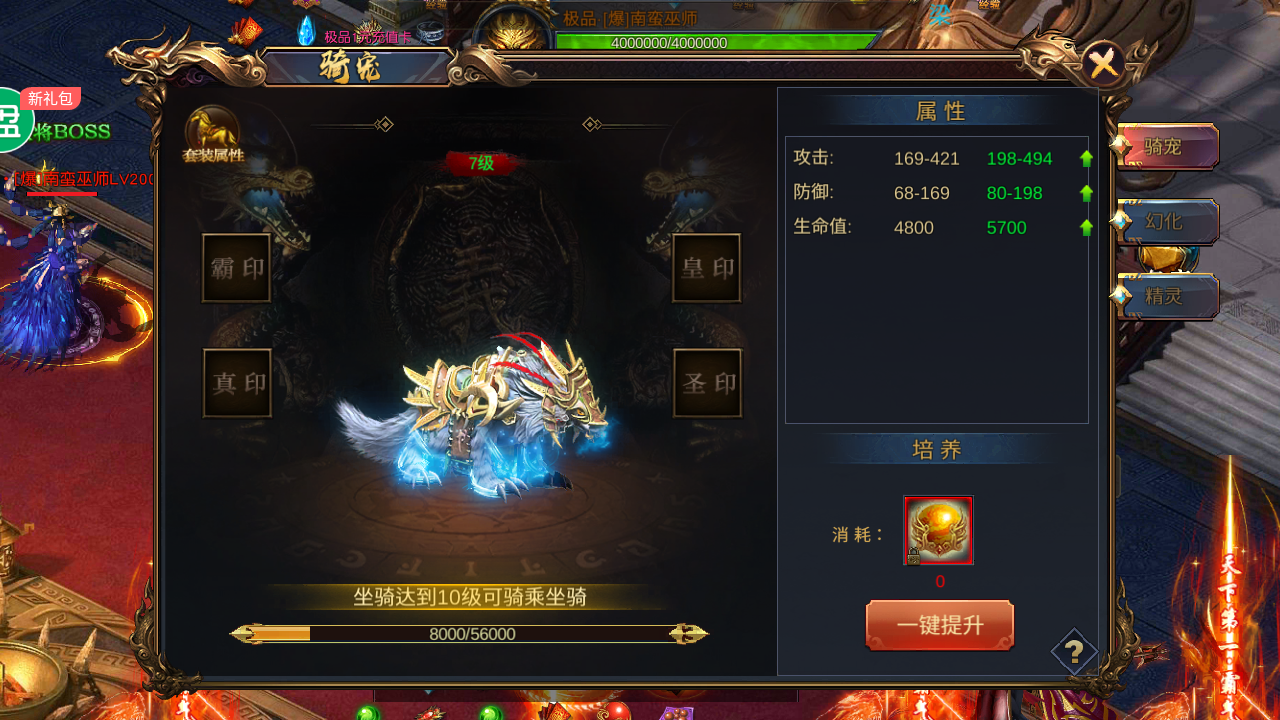 骑宠