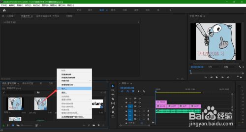 PR2020破解版百度网盘使用方法2