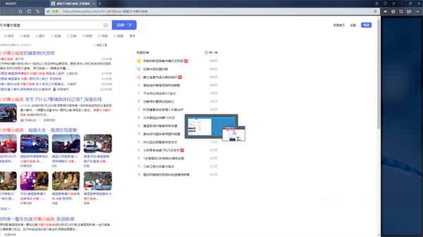 小白浏览器特别版用法截图4