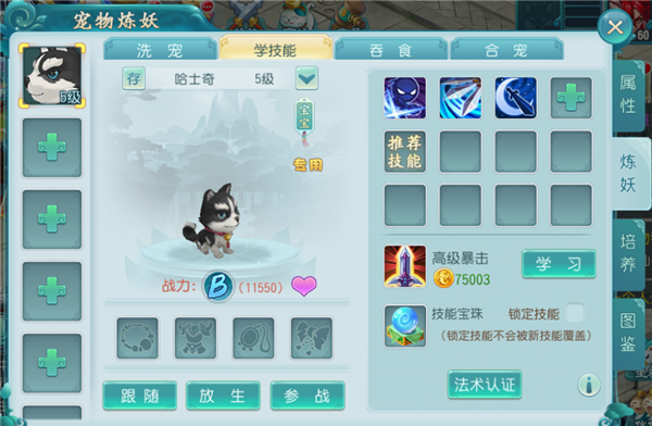 宠物玩法2