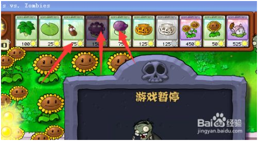 植物大战僵尸无尽版植物怎么摆放 第4张图片