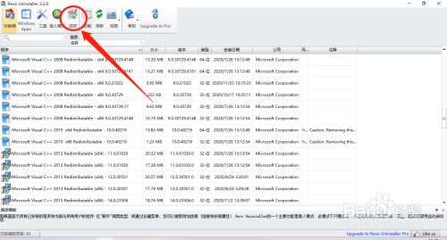 RevoUninstaller特别版使用方法1
