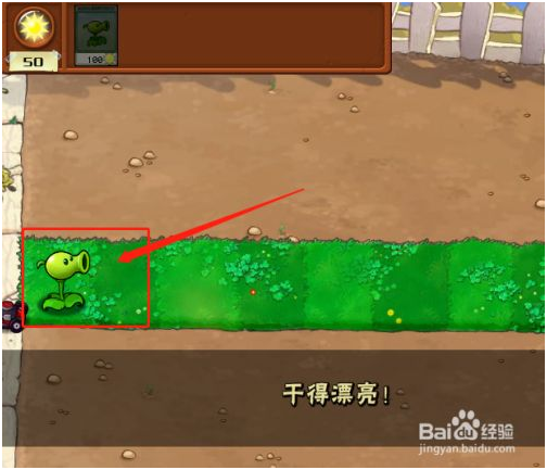 植物大战僵尸1怎么玩 第4张图片