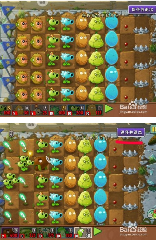 植物大战僵尸花园战争怎么布置基地植物 第7张图片