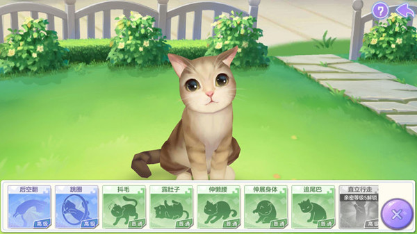攻略截图