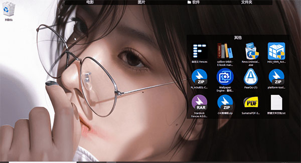 Fences4破解版使用说明10