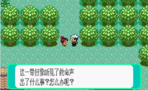 丰源地区怎么过截图4