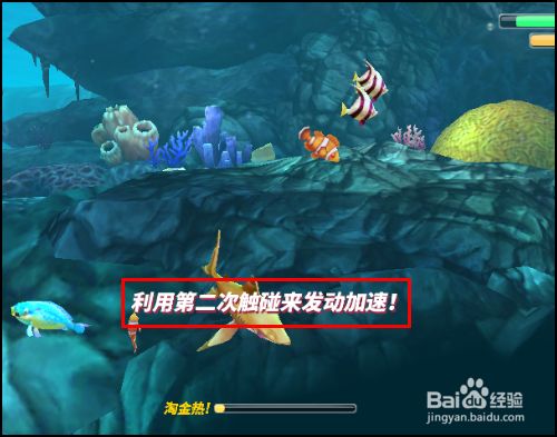 怎么开始新手任务5