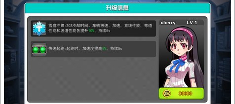 赛车手介绍3