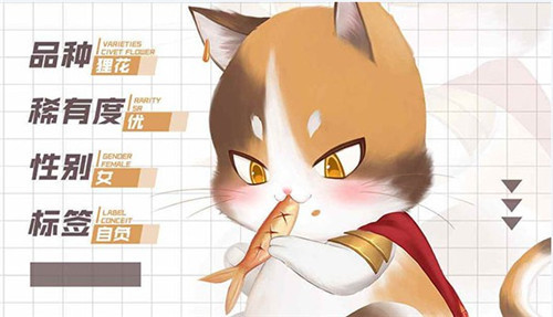 灵猫传猫咪攻略1