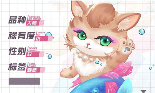 灵猫传猫咪攻略2