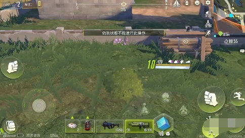灌木程式有什么用2