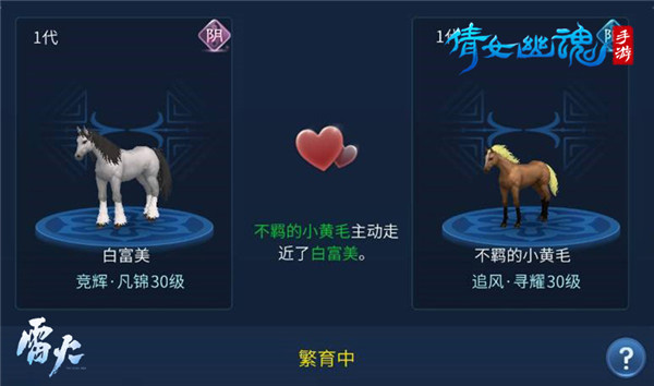 高品质马匹获取攻略截图6