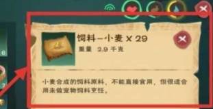 游戏攻略截图5