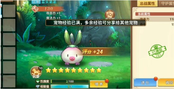 赛尔特大陆宠物进化攻略