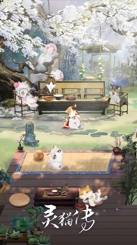 灵猫传无限金币无限茶叶