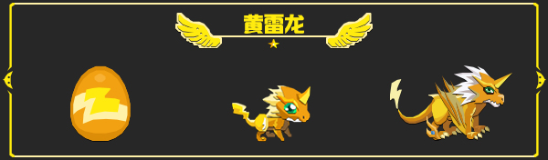 黄雷龙