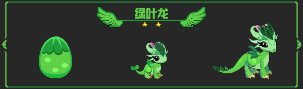 绿叶龙