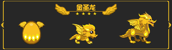 金圣龙
