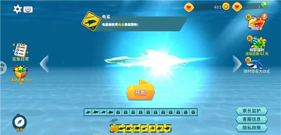 电鲨玩法2
