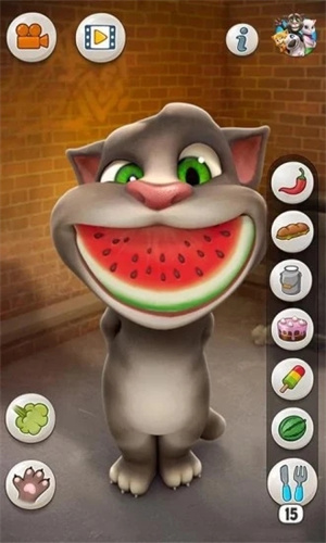 会说话的汤姆猫内置修改器版1