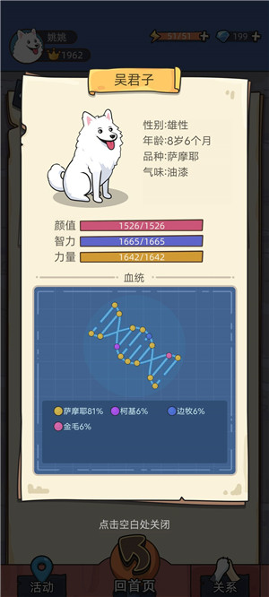 培育100%纯种狗子(以萨摩耶为例)2