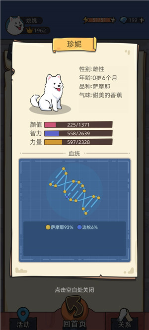培育100%纯种狗子(以萨摩耶为例)3