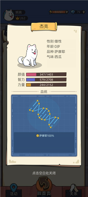 培育100%纯种狗子（以萨摩耶为例）4