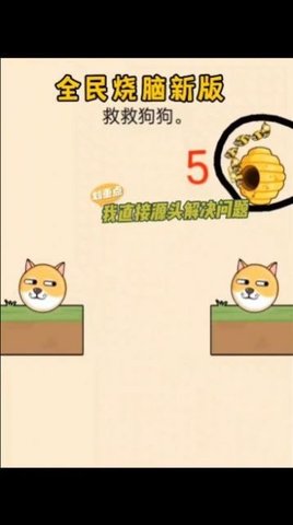 抖音救救狗狗小游戏 第2张图片