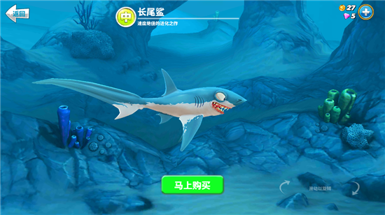 长尾鲨