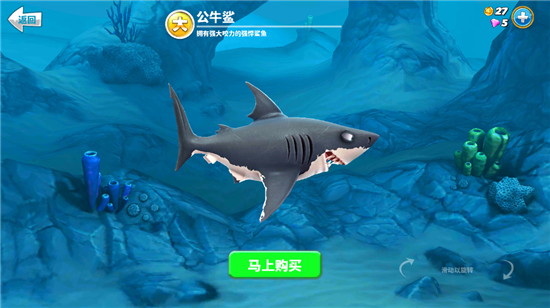 牛鲨
