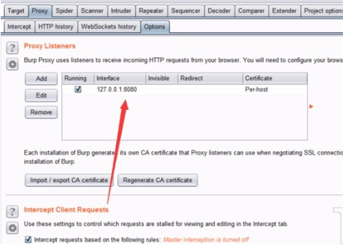 Burpsuite Pro 2022破解版使用方法3
