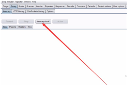 Burpsuite Pro 2022破解版使用方法4