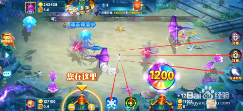 波克捕鱼怎么玩截图4