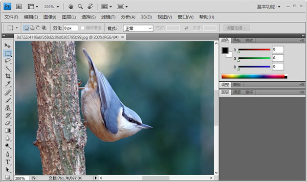 PhotoShop CS4免费下载截图1