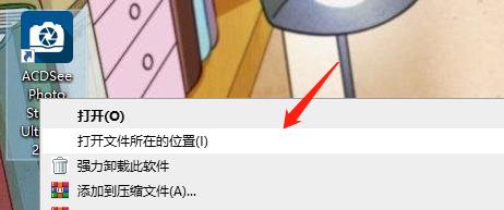 ACDSee2023如何特别激活截图1