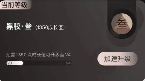网易云音乐黑胶版是什么