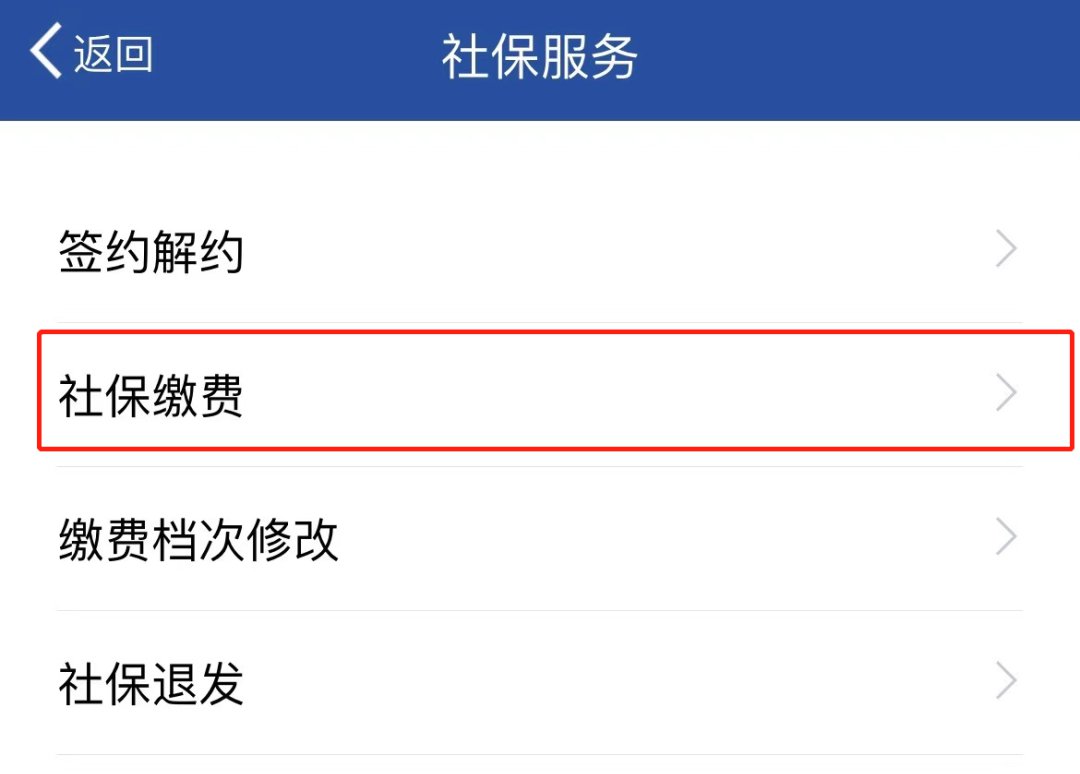 缴纳居民养老保险费用指南截图3